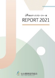 ディスクロージャー誌（2021）