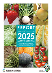 ディスクロージャー誌 上半期(2025)