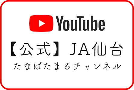 【公式】ＪA仙台-たなばたまるチャンネル