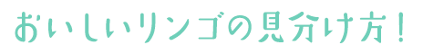 おいしいリンゴの見分け方！