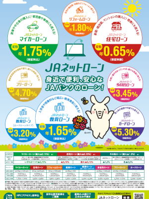 ネットローン