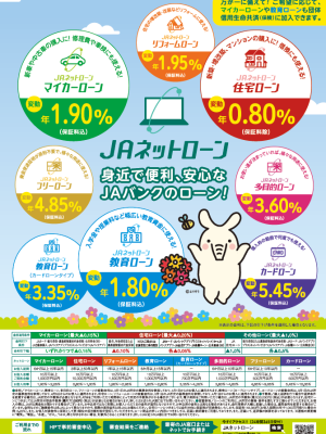 ネットローン