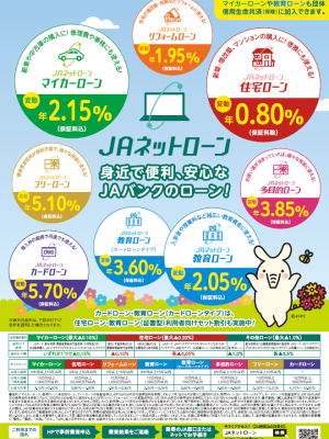 ネットローン