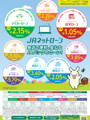 ネットローン